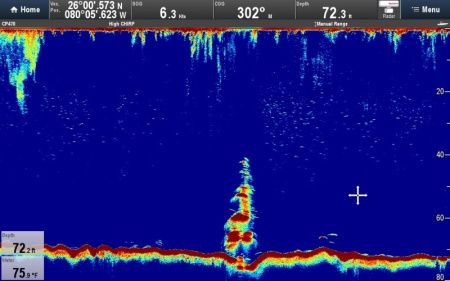 Raymarine CP470 E70298 от прозводителя Raymarine